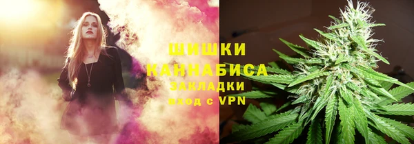 соль ск Верхний Тагил