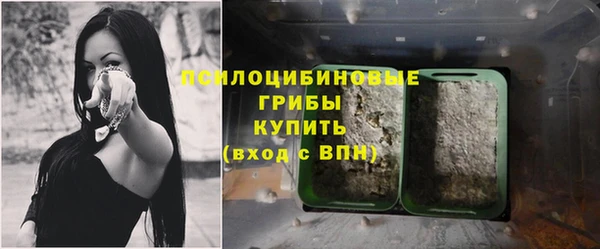 соль ск Верхний Тагил