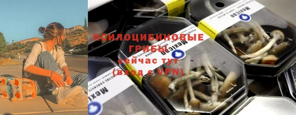 соль ск Верхний Тагил