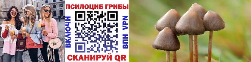 цены   Вилюйск  Галлюциногенные грибы GOLDEN TEACHER 